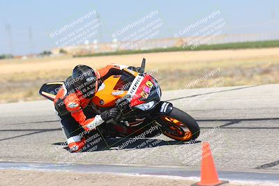 media/Aug-06-2023-TrackDaz (Sun) [[ac7f4f6367]]/C Group/cotton corners/